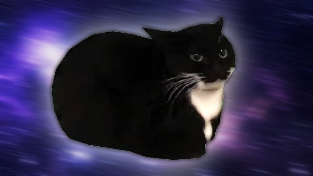 Создать мем: кот, черный кот, maxwell cat original