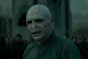 Create meme: Richard Bremmer Voldemort, Harry Potter, Voldemort footage from the film