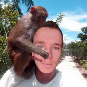 Create meme: selfie monkey, monkeys