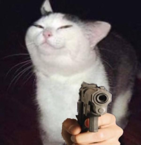 Create meme: cat with a gun, the cat with a knife, smug cat