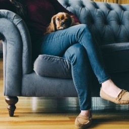 Create meme: feet, pet sitting, the woman stuck to the sofa