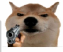 Create meme: dog meme, a dog with a gun, doge dog