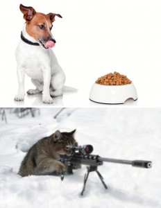 Создать мем: кормушка, dog food, питание собаки натуральным кормом