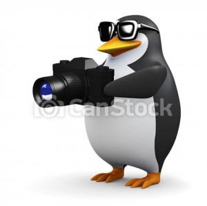 Создать мем: карлос потато вальдес, пингвин с фотоаппаратом, пингвин с телефоном