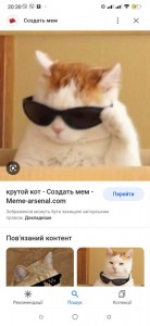 Create meme: Mammy cat, cat meme, cool cat meme