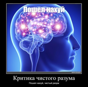 Создать мем: головной мозг, мозг человека, человеческий мозг