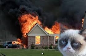Создать мем: кот на фоне горящего дома, горящий дом, мем грустный кот