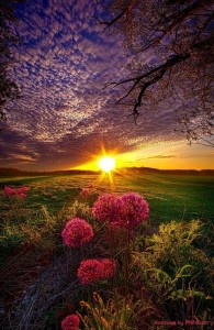 Create meme: nature dawn, beautiful dawn, nature sunset