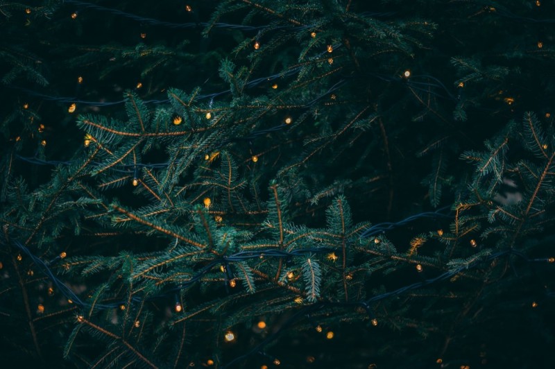 Create meme: fir tree with a garland, Christmas tree with a garland, Christmas tree on a black background