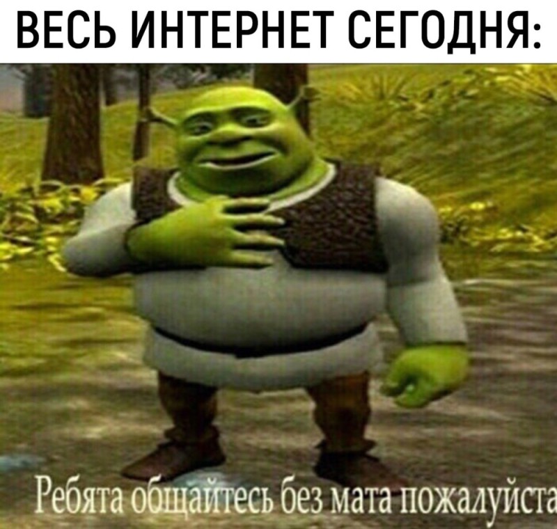 Create meme: communicate without Mat please Shrek, meme Shrek , nothing bikanel Shrek