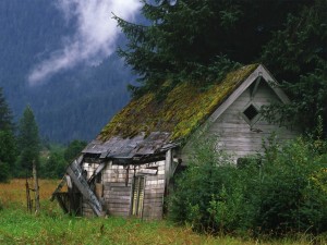 Create meme: landscape, hut, abandoned house in the woods