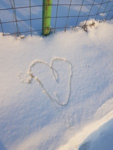 Create meme: white snow, good snowy morning in heart, smile snow