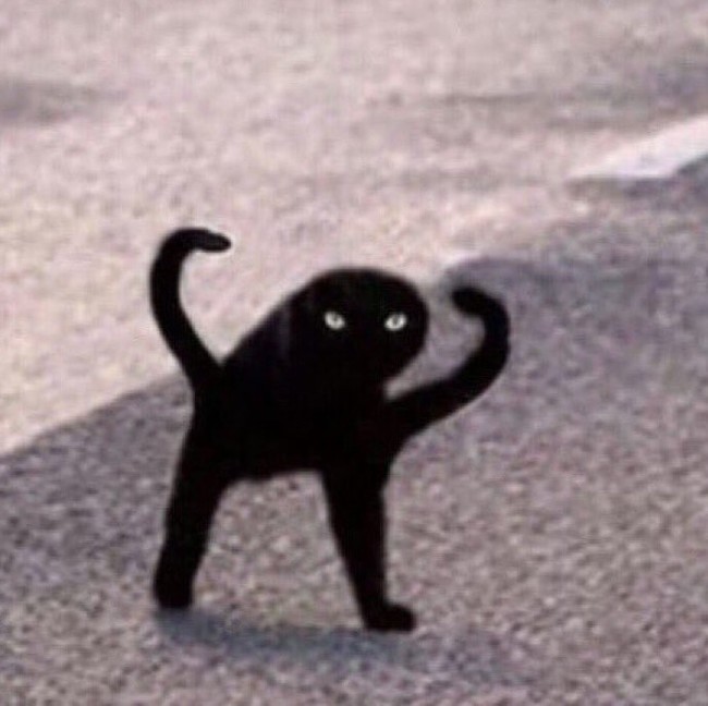 Создать мем: ъуъ съука черный кот мем, мем с черным котом, кот ъуъ