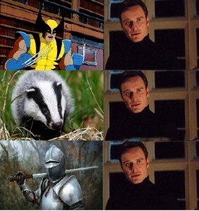 Create meme: European badger, badger pictures, predatory badger