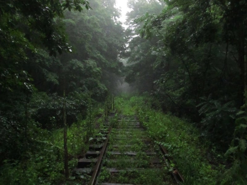 Create meme: abandoned railway, Mashuk abandoned railway, railway in the forest