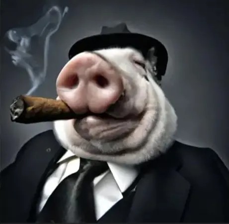 Create meme: pig head, funny pigs, cool pig