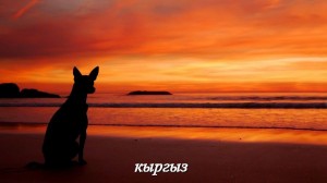 Create meme: sea beach sunset, beach sunset, sunset silhouette