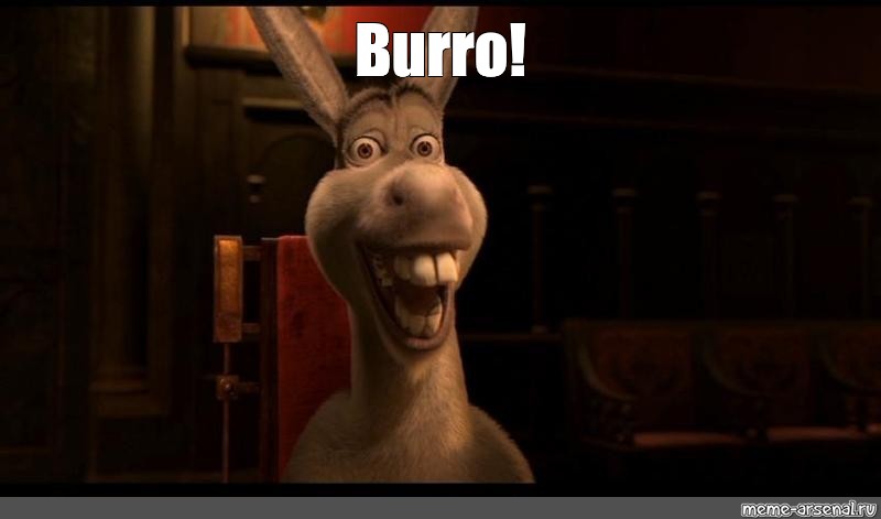 Meme: BURRO ! - All Templates 