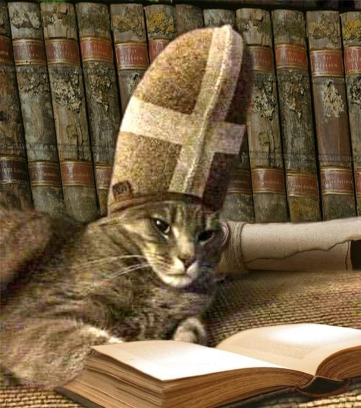 Create meme: catholic cat, a cat with a slipper on his head, the cat in sneakers