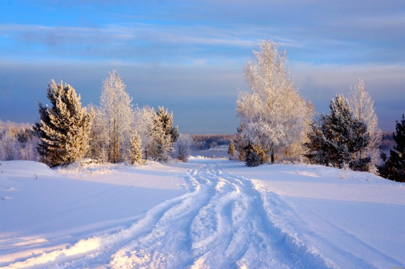 Create meme: winter landscapes, beautiful winter landscapes, nature winter