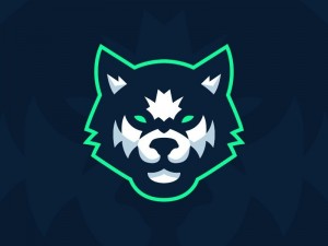 Create meme: avatar steam, gaming community, raccoon
