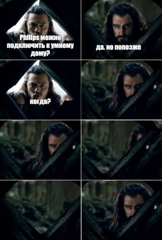 Create meme: Thorin Oakenshield memes, memes of the hobbit, Thorin meme