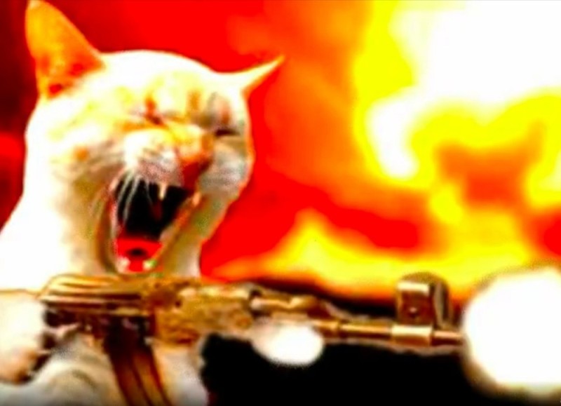 Создать мем: кот с пулеметом, котик с автоматом, кот с ак 47