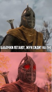 Create meme: Skyrim Whiterun guard, Skyrim memes, the guard of Whiterun