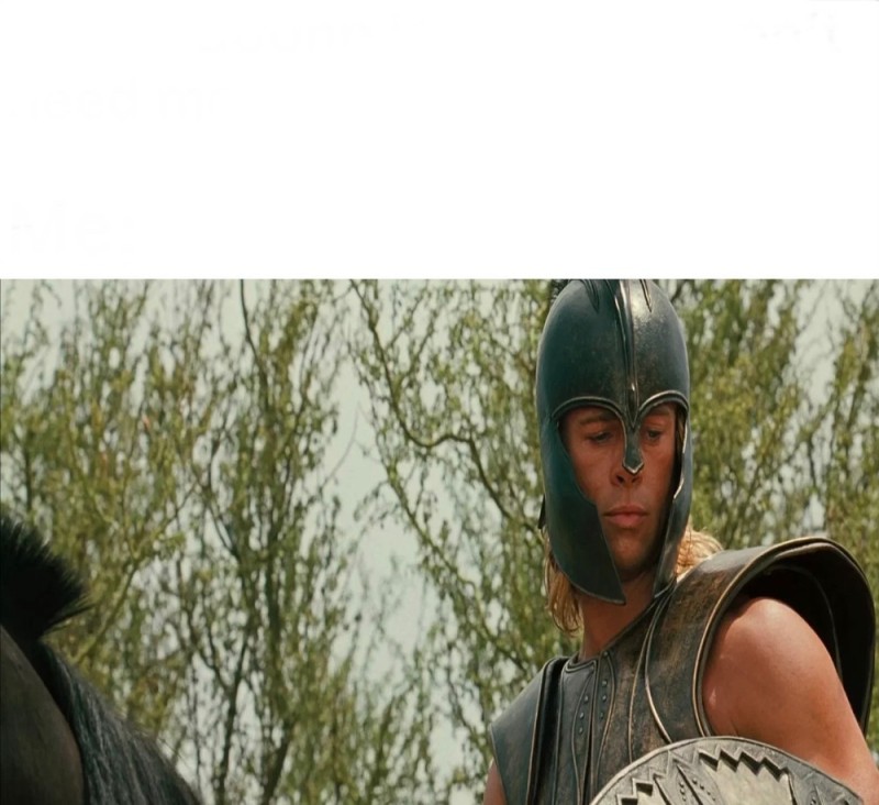 Create meme: troy 2004 film achilles, Troy Achilles calls Hector, troy achilles