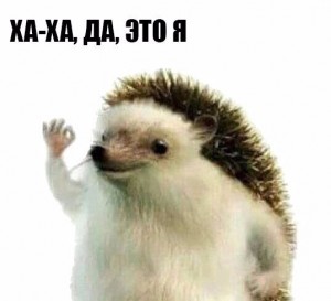 Create meme: cheers meme, hedgehog meme