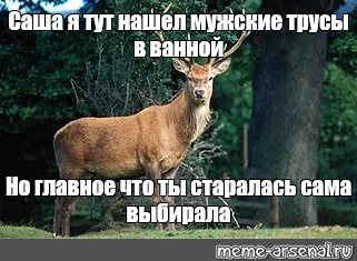 Нашел Трусы Фото