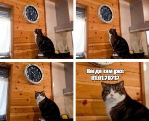 Создать мем: мемы с котами, кот мем, мем с котом и часами