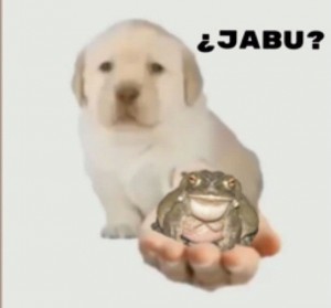 Create meme: puppy, dog, Labrador puppy on white background