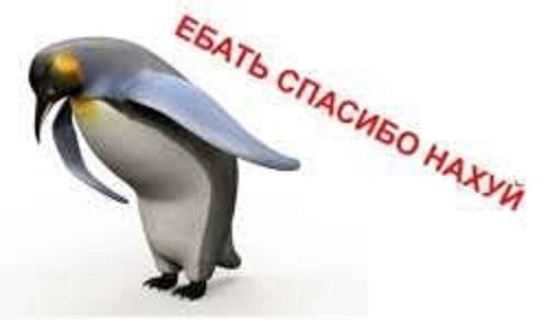 Create meme: penguin , penguin bow, the bowing penguin