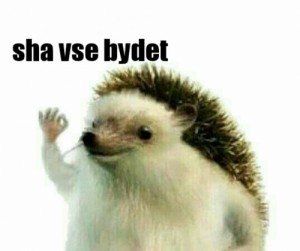 Create meme: create meme, I, hedgehogs