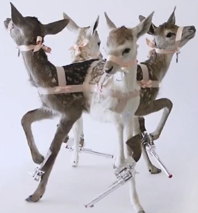 Create meme: taxidermist art, creepy art, taxidermy of roe deer