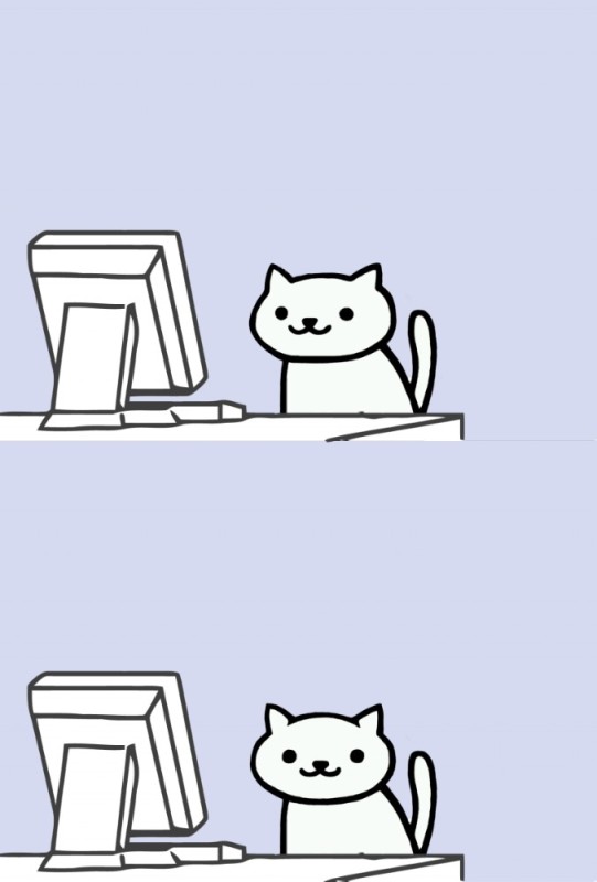 Create meme: the cat in the computer meme, cat meme , memes