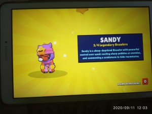 Create meme: brawl stars sandy, sandy Bravo stars, the screen with the text