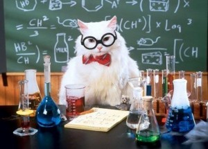 Create meme: chemistry, cat scientist, cat chemistry
