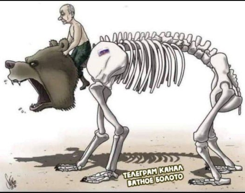 Create meme: the skeleton of a bear, the skeleton of a dog, skeleton 