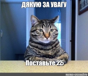 Create meme: cat serious conversation, serious cat, the meme with the cat we need to talk