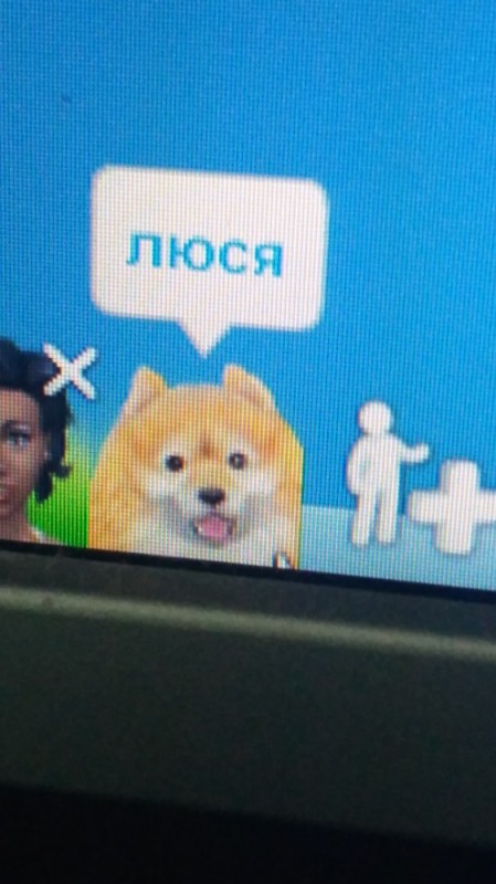 Create meme: shiba inu , dog , shiba inu dog