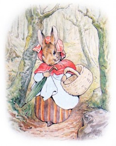 Create meme: tales of Beatrix Potter, Peter rabbit Bunny, Peter rabbit illustrations