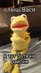 Create meme: Vasya, the trick, fun