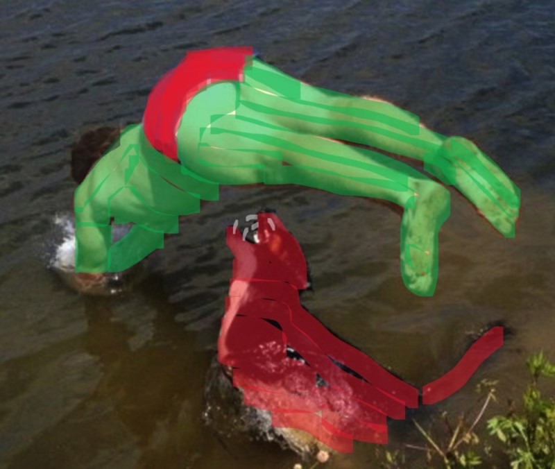 Create meme: diving, funny falls into the water, the cannibal dog