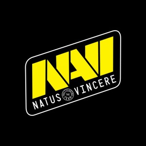 Create meme: icon Navi, logo Navi, Navi logo