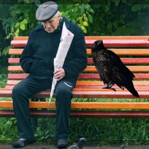 Создать мем: голуби сидящие на скамейке, александр карлышев двойник ленина на красной площади, старик и ворон
