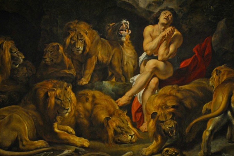 Создать мем: даниил во рву со львами, питер пауль рубенс daniel in the lions' den, книга пророка даниила