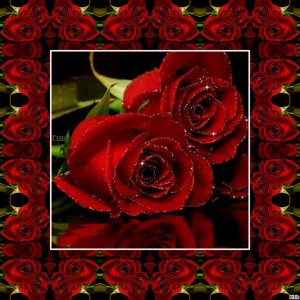 Создать мем: гифки роза 240 на 320, красные розы, гиф анимация розы с любовью