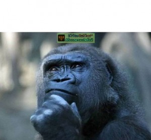 Create meme: think the picture is funny, people think smeshnyuchaya, the monkey in disbelief